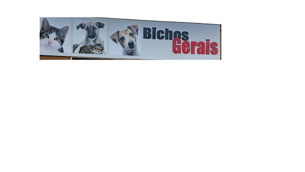 CLÍNICA VETERINÁRIA BICHOS GERAIS UNIDADE PITANGUI