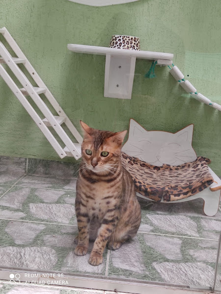 Clínica Veterinária Vida de Bicho