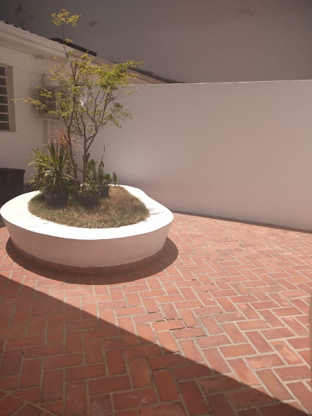 Foto 3 Vet La Vie - Especialidades Veterinárias