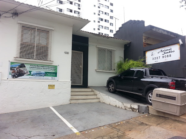 Veterinária Animal Sadio