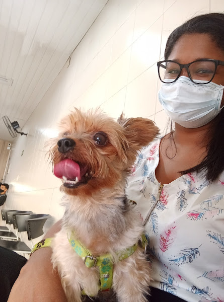 Consultório Veterinário Recanto Animal Consultório Veterinário Recanto Animal