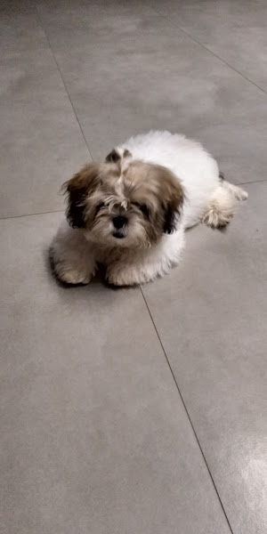 Clínica Veterinária Ebenezer