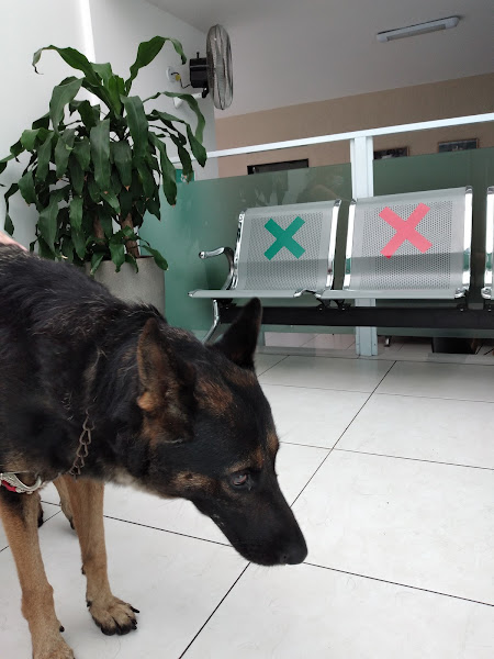 Vet My Pet Clínica Veterinária