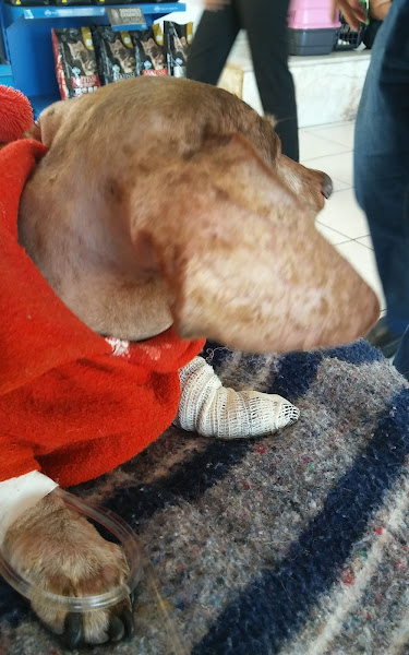 Foto 1 Leonardo Maciel Foto 1 Leonardo Maciel