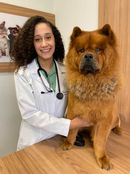 Foto 1 Zoodonto Odontologia Veterinária