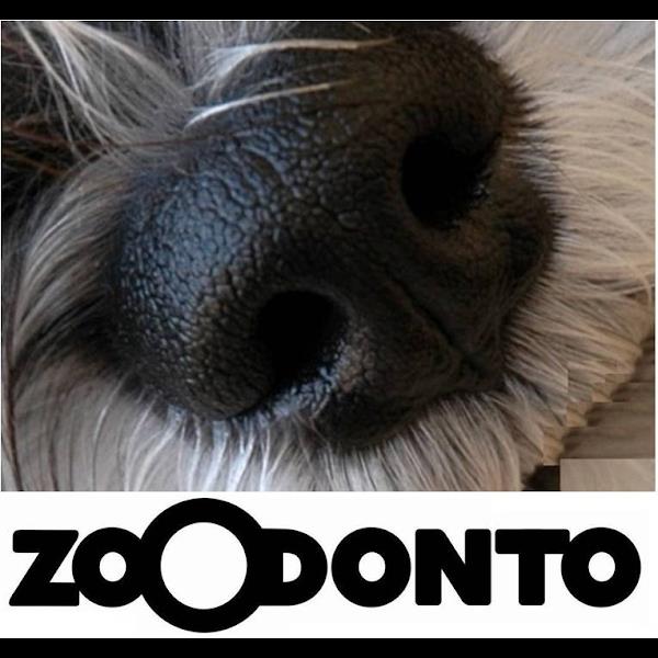 Foto 4 Zoodonto Odontologia Veterinária