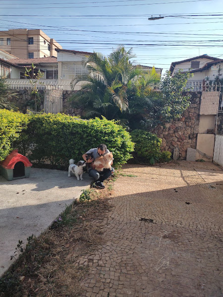 Foto 3 Central Pet - Medicina Veterinaria, especializado em Gatos e Aves