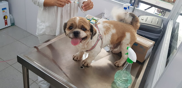 Foto 1 Consupet Vida Animal