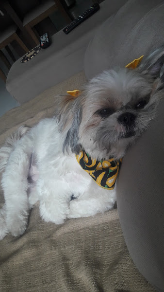 Foto 2 Consupet Vida Animal Foto 2 Consupet Vida Animal