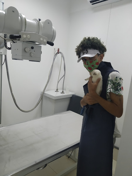 Foto 3 Animage Saúde de Estimação Foto 3 Animage Saúde de Estimação