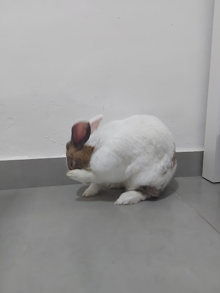 Foto 1 SELVA VETERINÁRIA BH