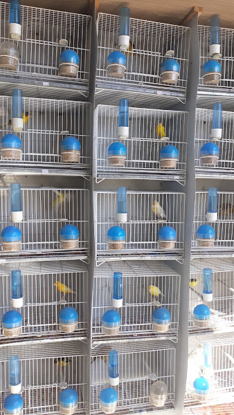 Foto 2 Telerações Casa Verde