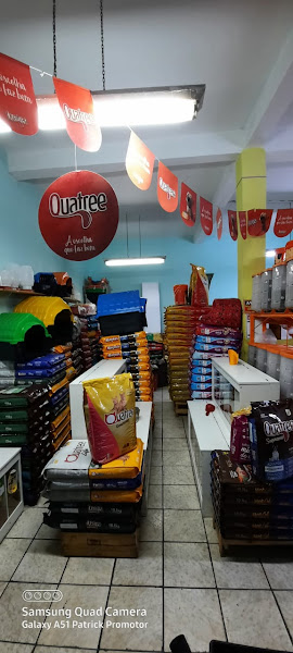 Foto 1 Casa De Ração Cãomaiss Rações E Acessórios Foto 1 Casa De Ração Cãomaiss Rações E Acessórios