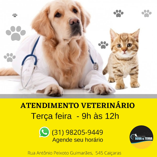 Foto 2 Casa de Rações e Pet Shop Água e Terra