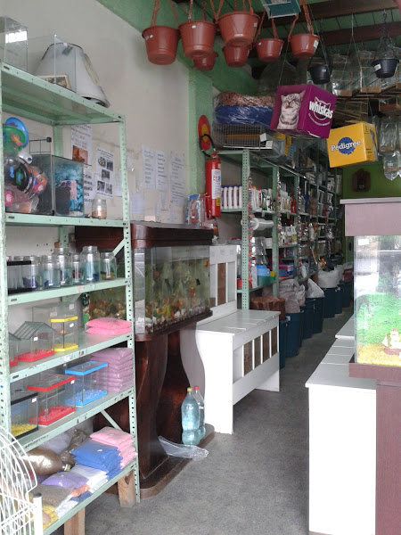 Foto 1 Agrovic Rações