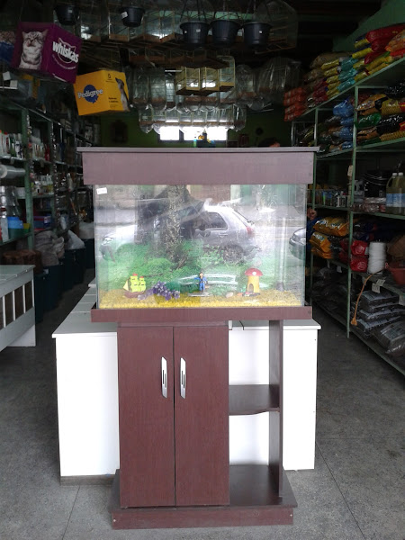 Foto 2 Agrovic Rações