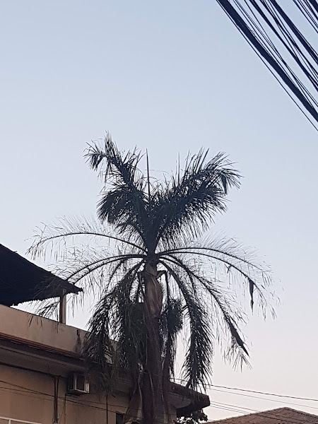 Foto 1 Rações Teixeira Dias