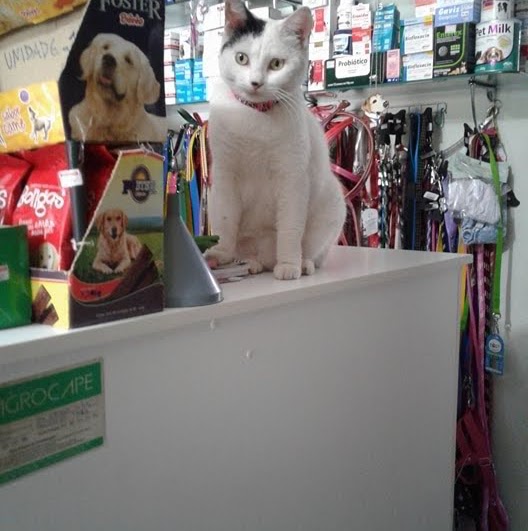 Foto 1 Pet e Rações.