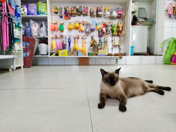 Foto 1 Casa de Ração Amemais