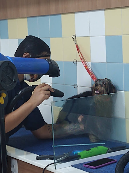 Reale Rações Costa Azul