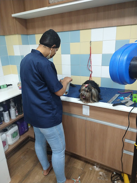 Foto 1 Reale Rações Costa Azul