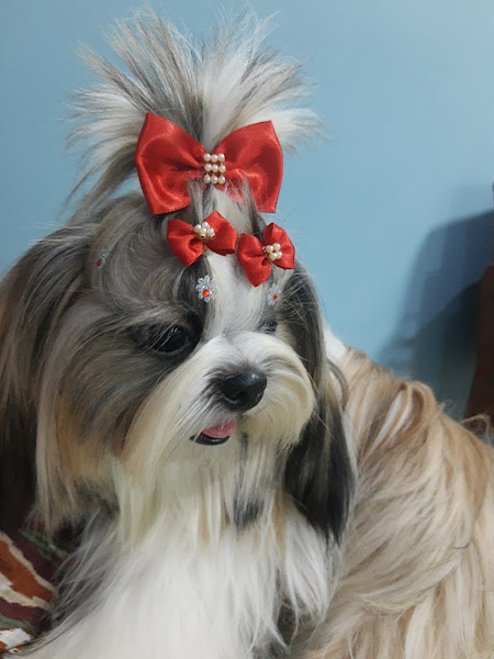 Foto 2 Reale Rações Costa Azul