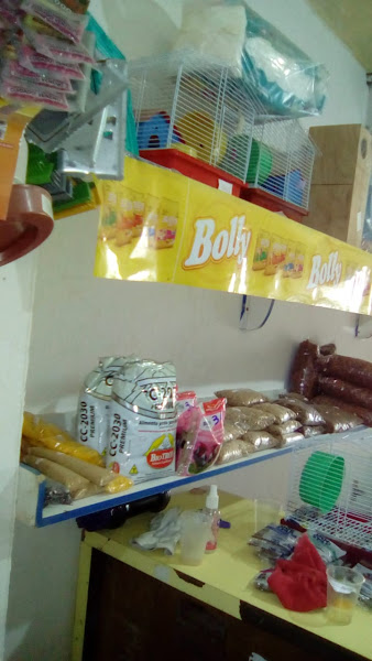 Foto 2 Casa de Rações PA Guimarães