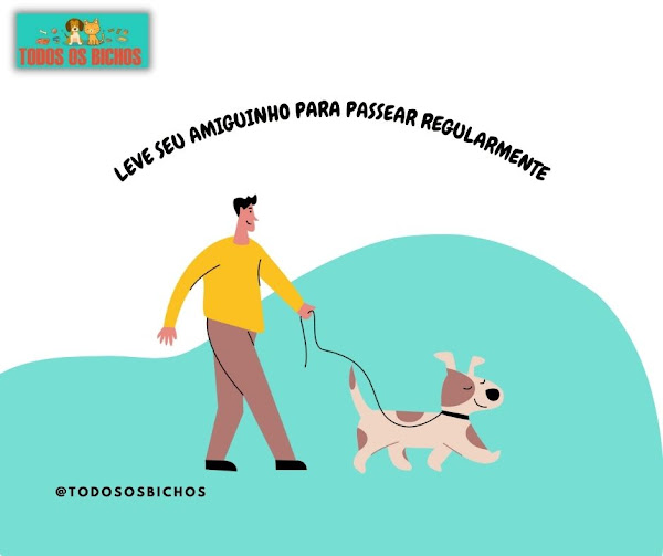 Todos os bichos - Rações e Acessórios