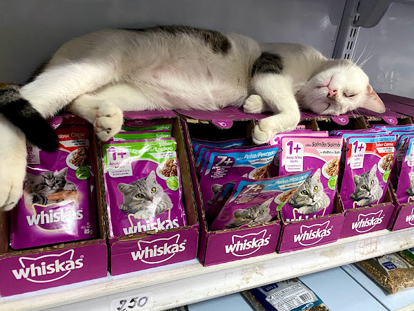 Foto 1 Rações Grão Fino