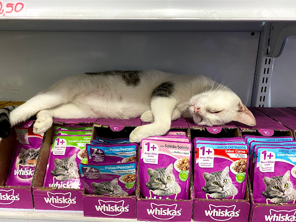 Foto 2 Rações Grão Fino