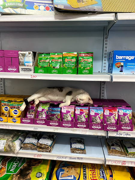 Foto 4 Rações Grão Fino