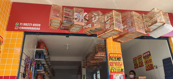 Casa de Ração BIG DOG