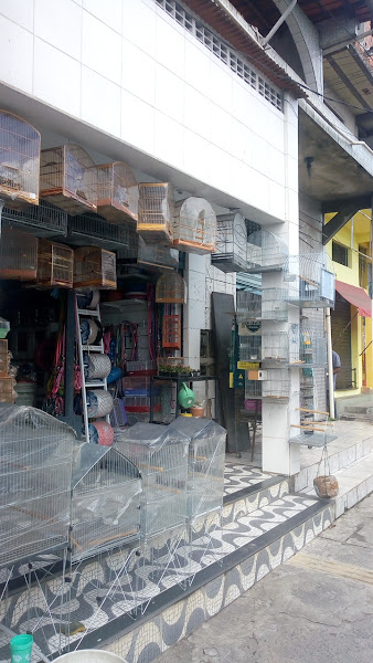 Foto 3 Lambão Raçôes Pet