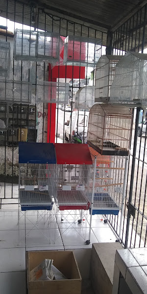 Foto 2 Lambão Rações Pet Foto 2 Lambão Rações Pet