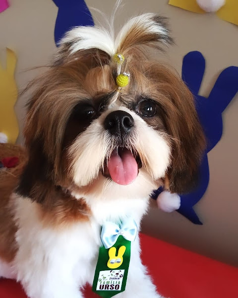 Foto 1 Família Urso Clinic Pet