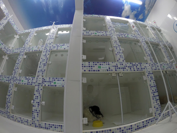 Foto 3 Centervet Graça - Hospital Veterinário, Salão e Petshop