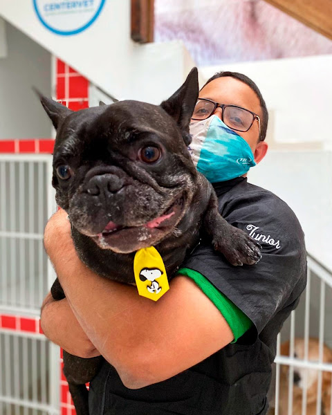 Foto 5 Centervet Graça - Hospital Veterinário, Salão e Petshop