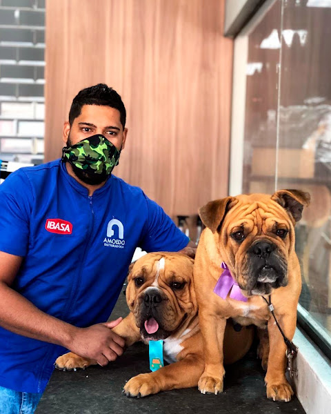 Foto 6 Centervet Graça - Hospital Veterinário, Salão e Petshop