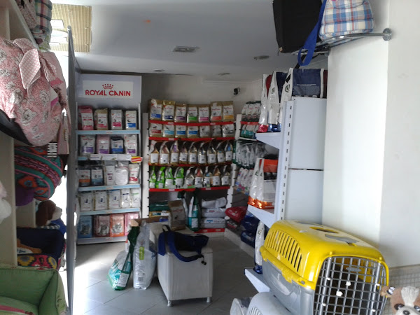 Foto 7 Planeta Animal