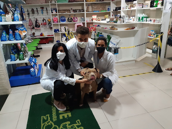 Foto 4 Clínica Veterinária Atenve