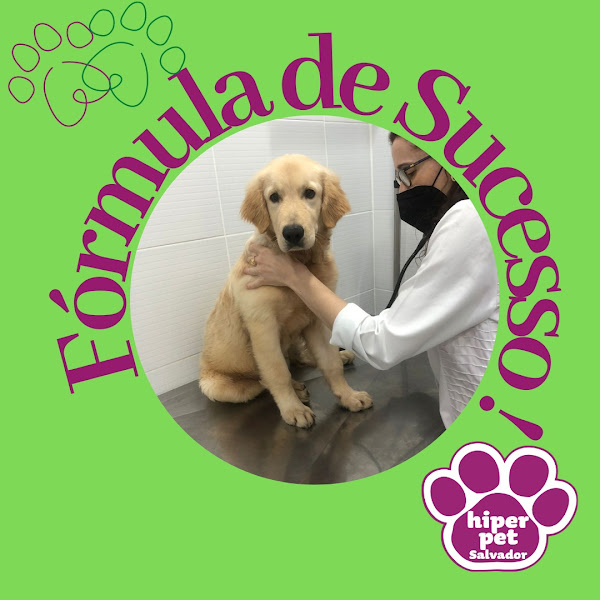 Foto 2 Hiperpet Salvador