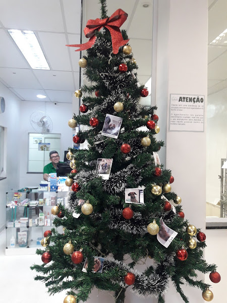 Foto 1 Kennel Veterinária - CABULA