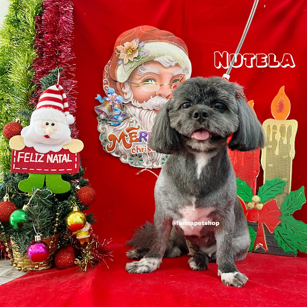 Foto 1 Luna Pet Shop