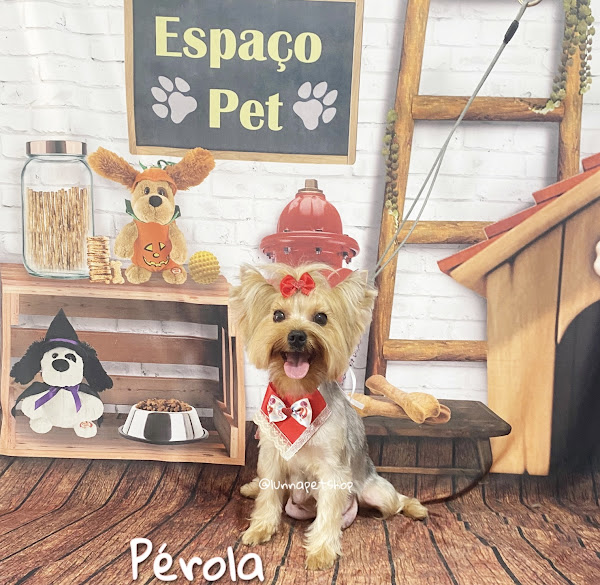 Foto 2 Luna Pet Shop