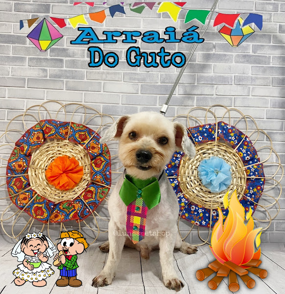 Foto 3 Luna Pet Shop