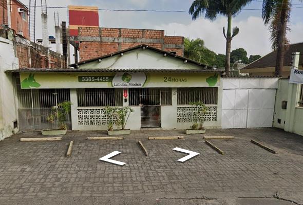 Latidos e Miados - Saúde Animal 24 horas