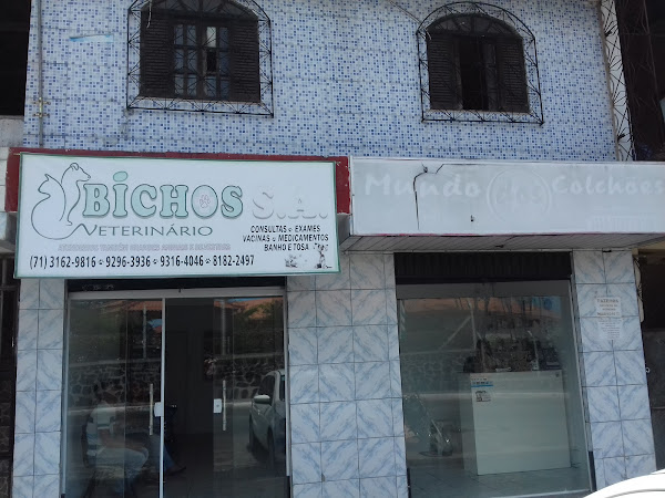 Foto 1 Bichos SA Veterinário Clinica Veterinária