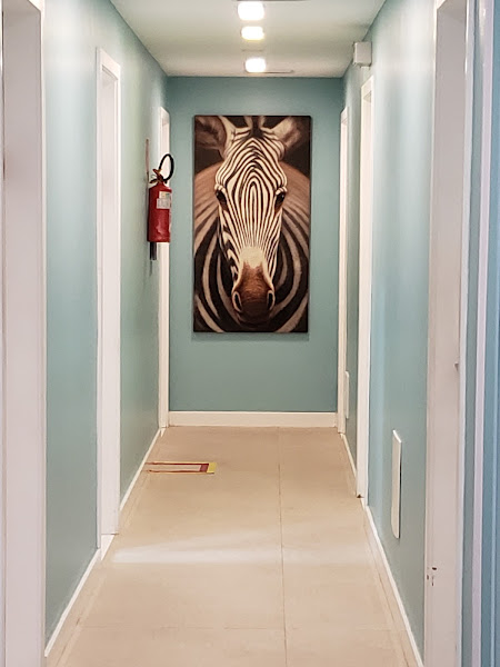 Foto 1 Hpet Hospital Veterinário