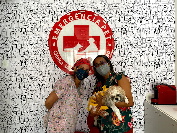 Foto 2 Clínica Veterinária Emergência Pet - CVEP.