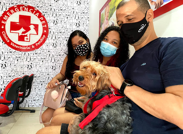 Foto 3 Clínica Veterinária Emergência Pet - CVEP.